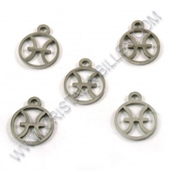 Charm "Pisces" 11mm,...