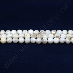 Perles de coquille 06mm -...