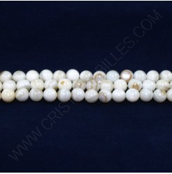 Shell beads 06mm -...
