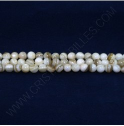 Perles de coquille 05mm -...