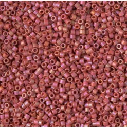 DB2306, Fuchsia rainbow...