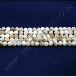 Shell beads 05mm -...