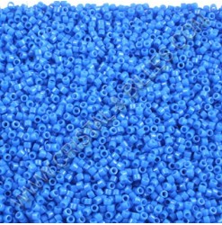 DB2134, Blue cereluan...